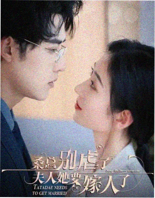刑侦剧雾港谜案全集在线播放